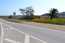 Enlarge photo 19