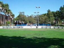 Enlarge photo 113