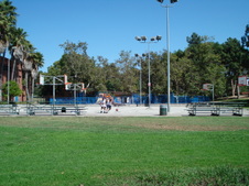 Enlarge photo 114