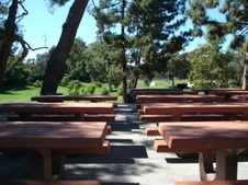 Enlarge photo 124