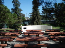 Enlarge photo 125
