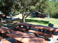 Enlarge photo 127