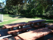 Enlarge photo 128