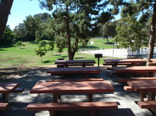 Enlarge photo 129