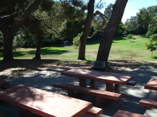 Enlarge photo 131