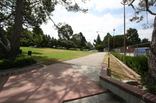 Enlarge photo 39