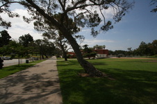 Enlarge photo 46