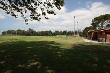 Enlarge photo 51
