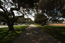 Enlarge photo 56