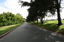 Enlarge photo 59