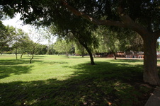 Enlarge photo 61