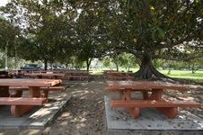 Enlarge photo 64