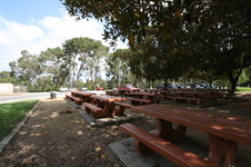 Enlarge photo 65
