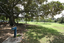 Enlarge photo 66
