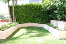 Enlarge photo 28