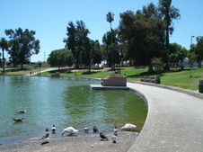 Enlarge photo 24