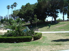 Enlarge photo 34
