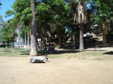 Enlarge photo 14