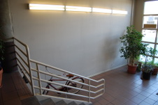 Enlarge photo 15