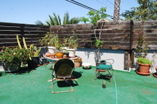 Enlarge photo 6
