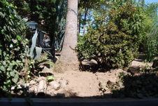 Enlarge photo 25