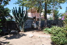 Enlarge photo 28
