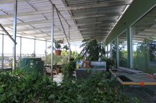 Enlarge photo 14