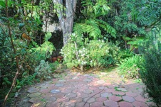 Enlarge photo 33