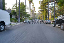 Enlarge photo 81