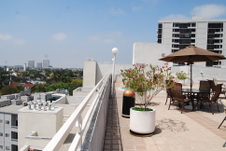 Enlarge photo 41