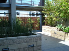 Enlarge photo 43