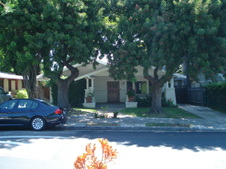 Enlarge photo 29