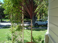 Enlarge photo 6