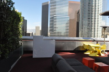 The Standard Hotel