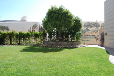 Enlarge photo 42