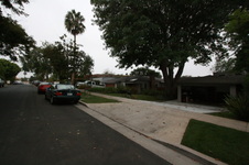 X-Mas Neighborhood