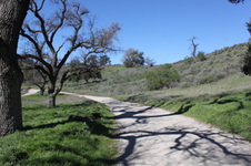 Enlarge photo 7