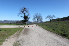 Enlarge photo 10