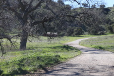 Enlarge photo 14