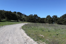 Enlarge photo 17
