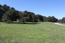 Enlarge photo 24