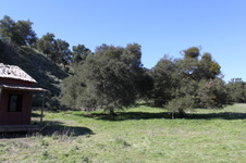 Enlarge photo 28