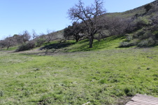 Enlarge photo 32