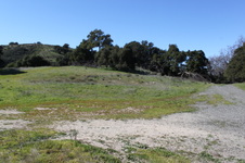 Enlarge photo 41