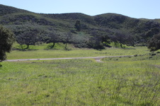 Enlarge photo 42