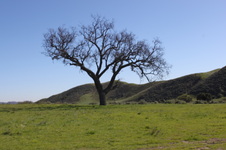 Enlarge photo 43