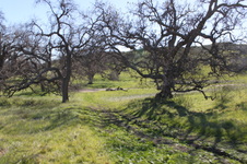Enlarge photo 44