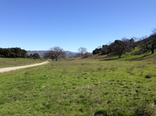 Enlarge photo 63
