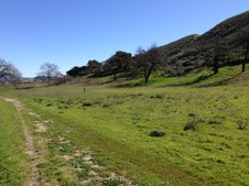 Enlarge photo 66