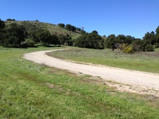 Enlarge photo 67